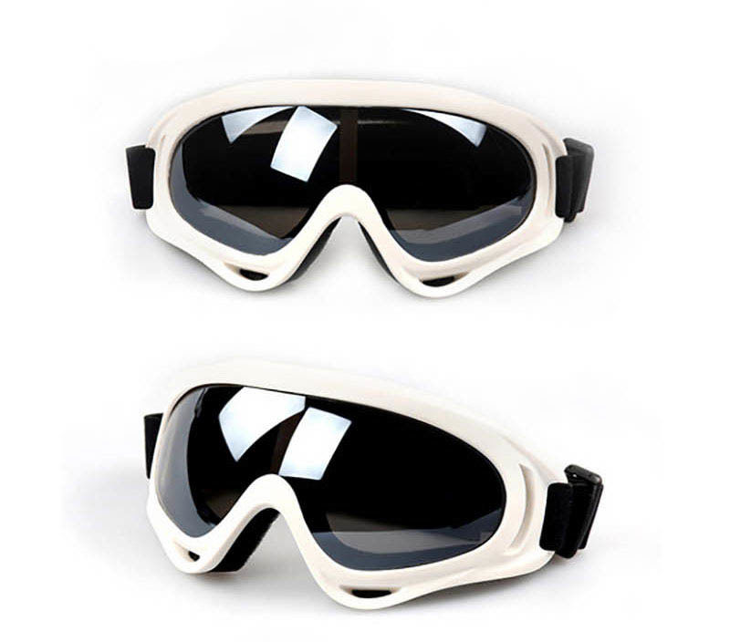 Kundenspezifische Logo-Motorrad-Glas-Antiwindundurchlässige Motorrad-UVschutzbrillen fournisseur
